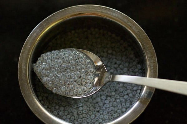 Soak the vegetable seeds in water.