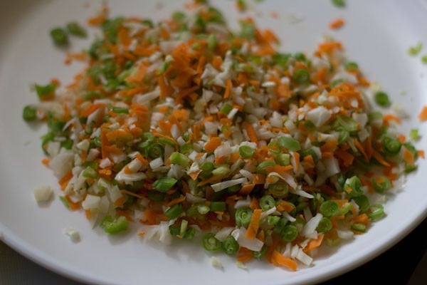 finely chopped vegetables in a white plate