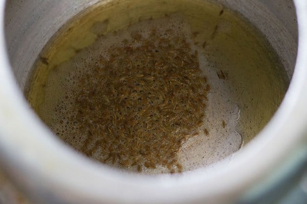 cumin seeds spluttering in hot oil in pressure cooker. 