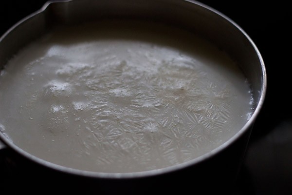 boil milk for making chenna