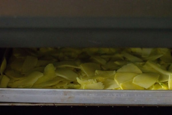 drying raw mango strips in the oven. 