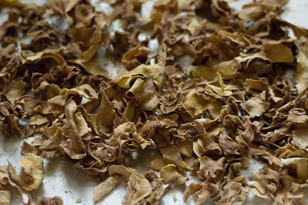 dried raw mango strips to make amchur powder. 