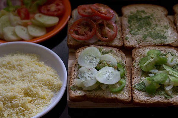 onion, tomato, potato and capsicum slices on bread slices