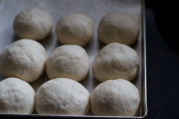 rolls kept for the second rise in a greased baking tray. 