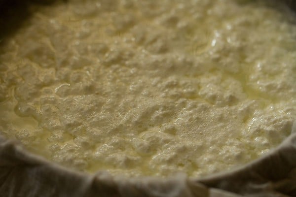 curdled milk draining in a lined mesh strainer