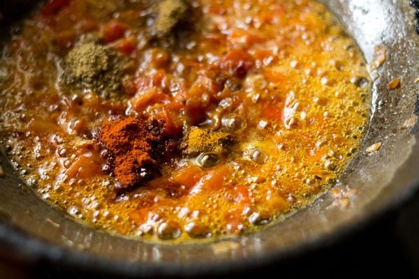 spices added to masala