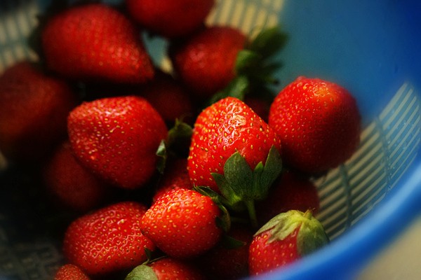 Erdbeeren, Erdbeere