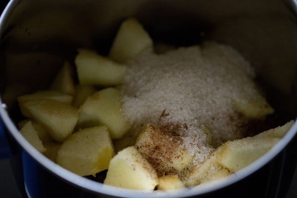 apple for apple milkshake recipe