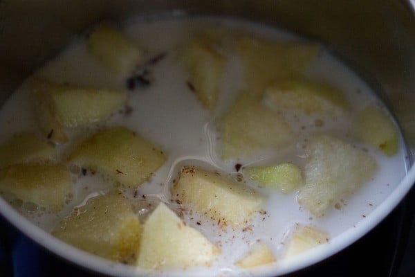 milkshake mixen - recept voor appelmilkshake maken