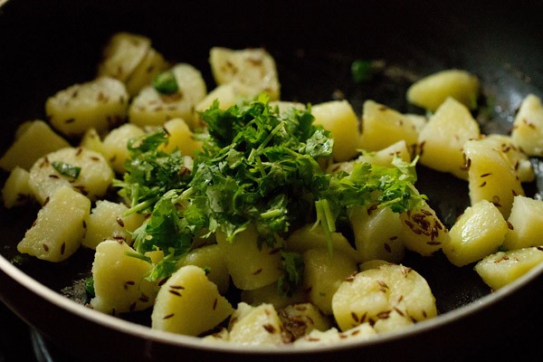 coriander for jeera aloo recipe