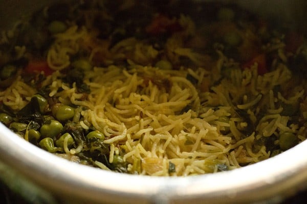 cooked methi rice in pressure cooker