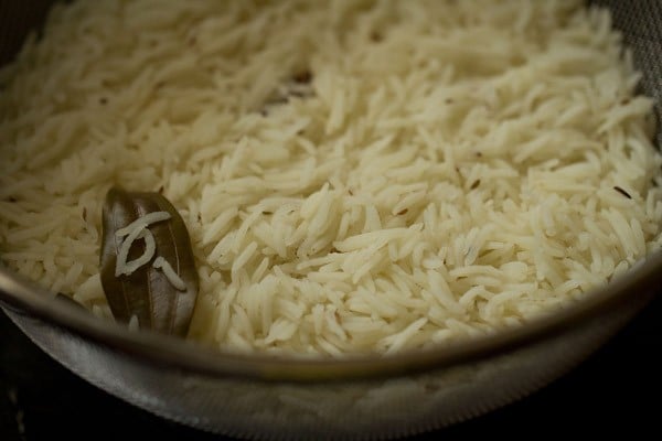 cooked rice grains in a strainer