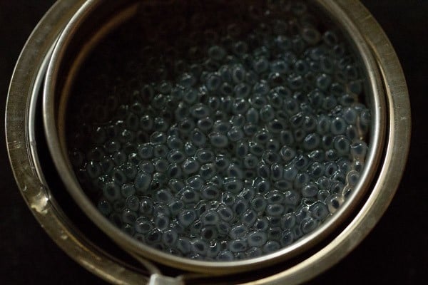 soaked sabja seeds for rose milk recipe