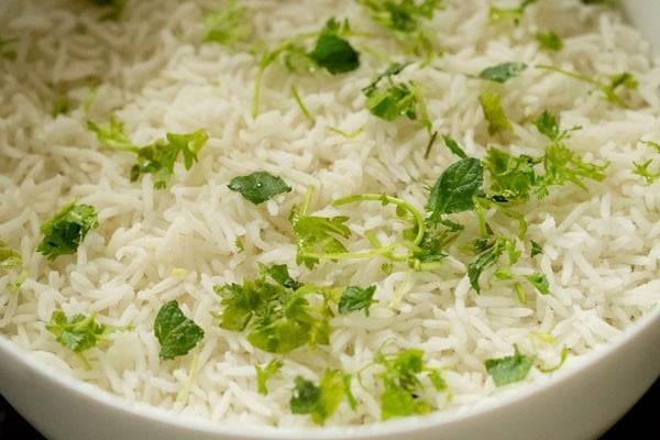 mint layer and coriander leaves on rice layer