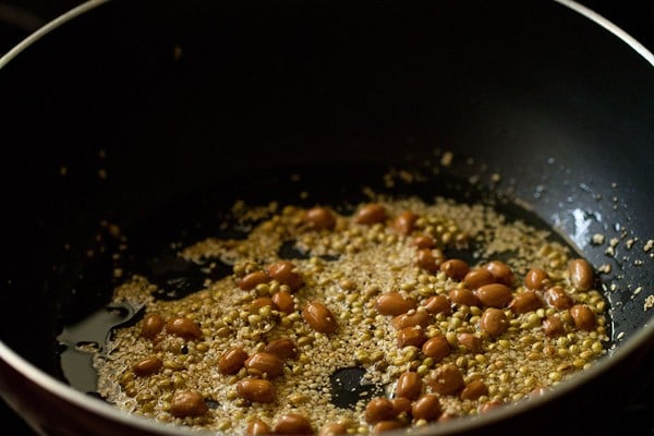 sautéed peanuts, sesame seeds, coriander seeds and poppy seeds