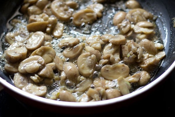 mushrooms for spinach mushroom lasagna recipe