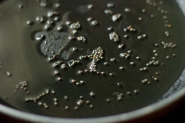 crackling mustard seeds in hot oil in shallow frying pan. 