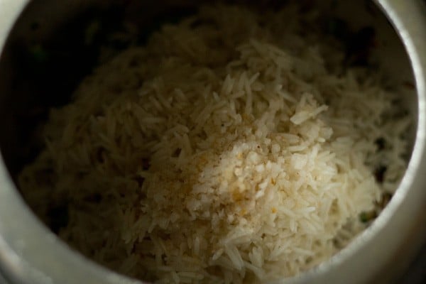 soaked rice and salt added in cooker for bell pepper rice. 