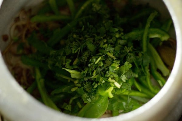 chopped coriander leaves added.