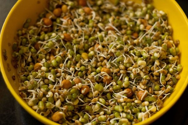 rinsed mixed sprouts. 