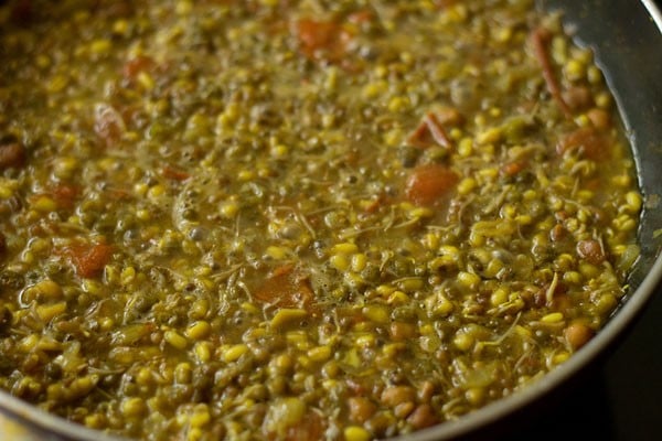 cooked mixed sprouts curry. 