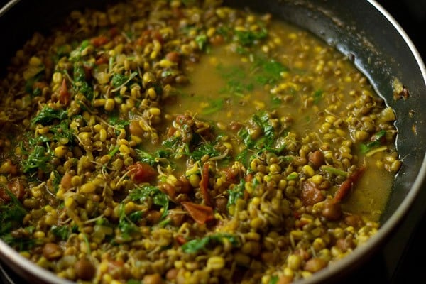 coriander leaves mixed well in the sprouts curry. 