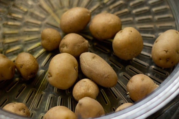 steaming baby potatoes. 