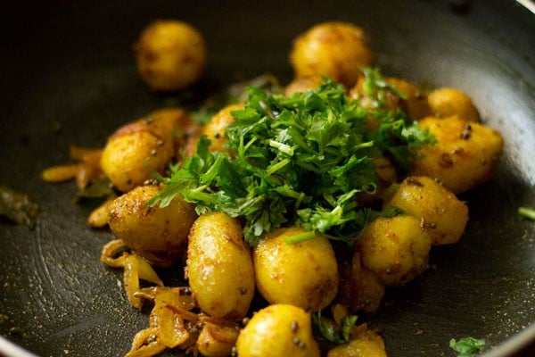 chopped coriander leaves added to the spiced baby potatoes. 