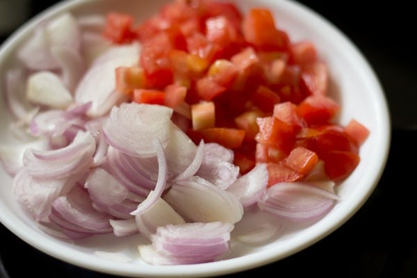 Chopped onions and tomatoes on white plate.