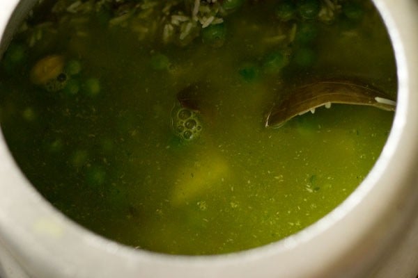 adding water for cooking coriander rice