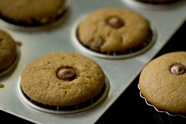 Close up shot of baked eggless chocolate chip muffins in muffin tin.