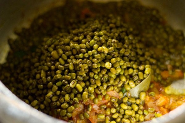 mound of green moong beans in cooker.