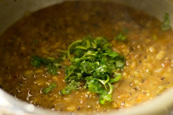 chopped coriander leaves on green moong dal.