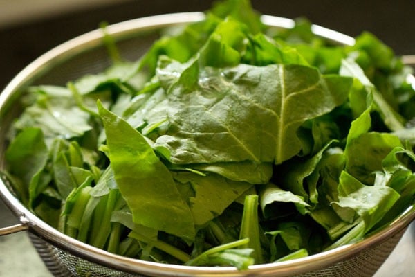 rinsed chopped spinach leaves in a mesh strainer