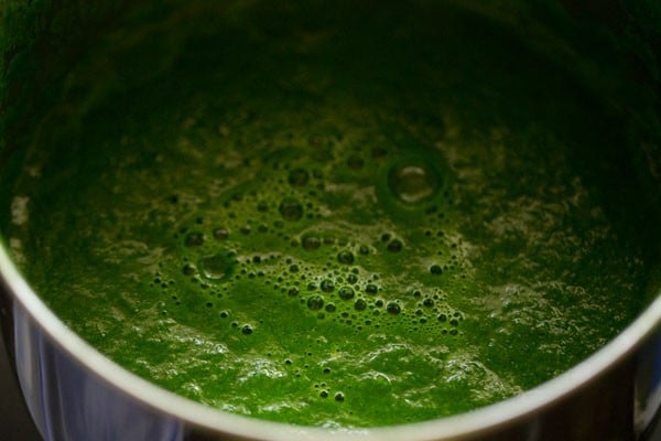 pureed spinach to make palak paneer recipe