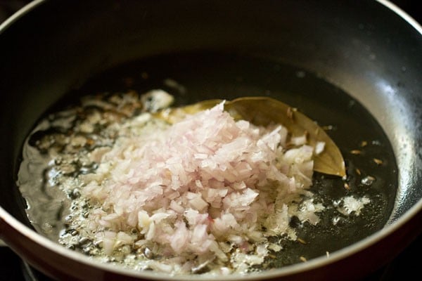 adding onions to the pan