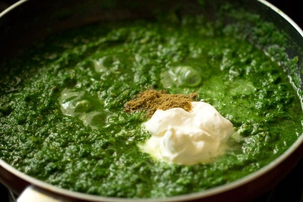 adding cream and garam masala powder for one pot palak paneer