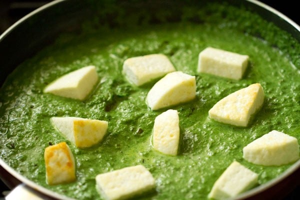 added paneer cubes