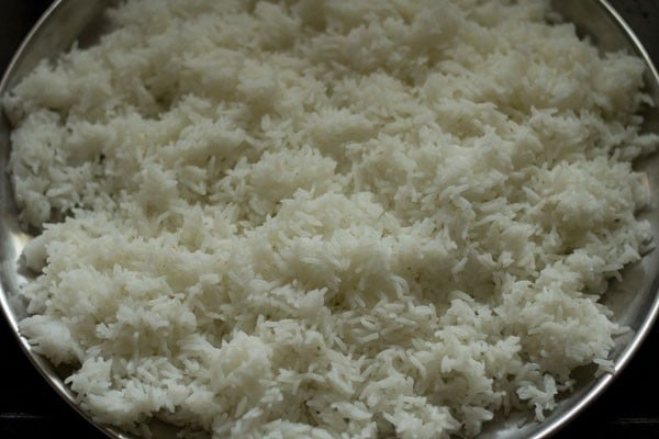 Paneer Fried Rice  - 53