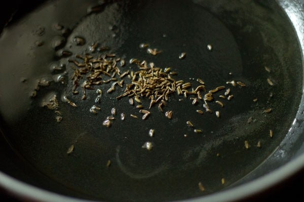 caraway seeds in oil in a pan