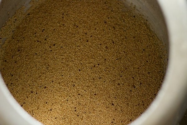 amaranth in pressure cooker