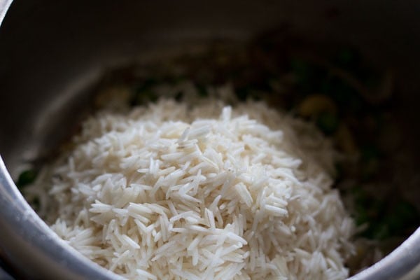 adding soaked basmati rice to make coconut milk rice