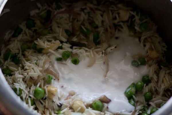 thick coconut milk on rice to make coconut milk pulao