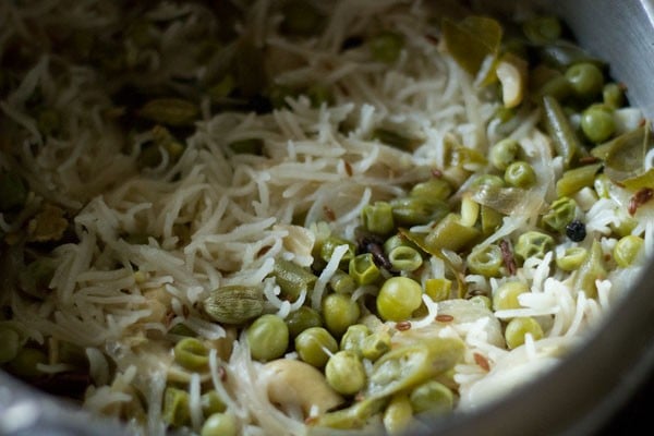 cooked coconut milk rice in the pressure cooker