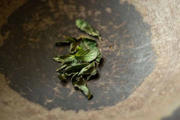 dried mint leaves