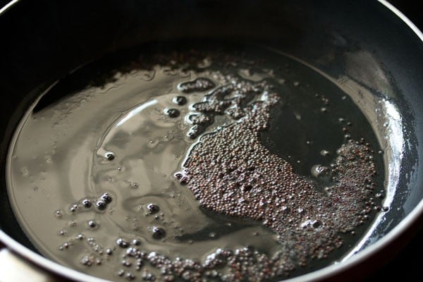 mustard seeds in oil in a pan