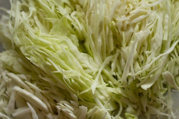 shredded cabbage 