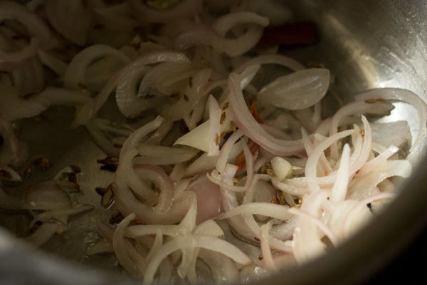 thinly sliced onions added