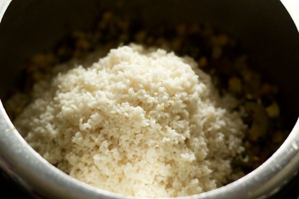 adding rice to pressure cooker