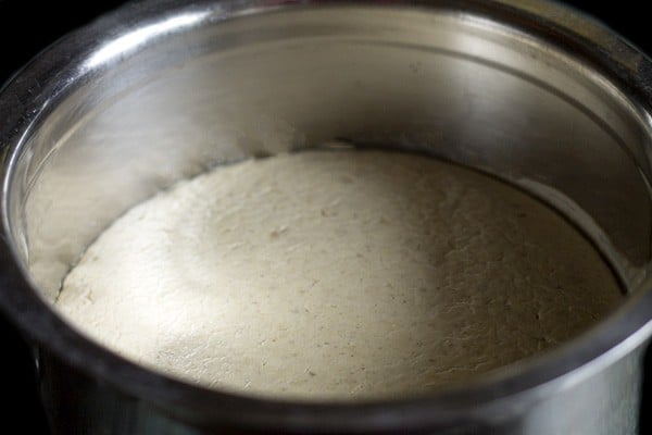 fermented batter. 